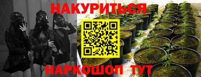 молекула духа Северобайкальск