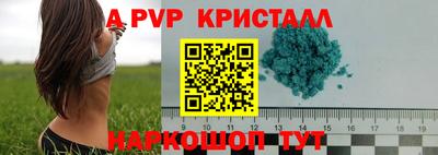 a pvp Сланцы