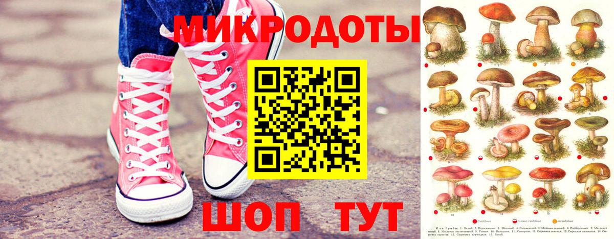 Псилоцибиновые грибы Psilocybe Оренбург